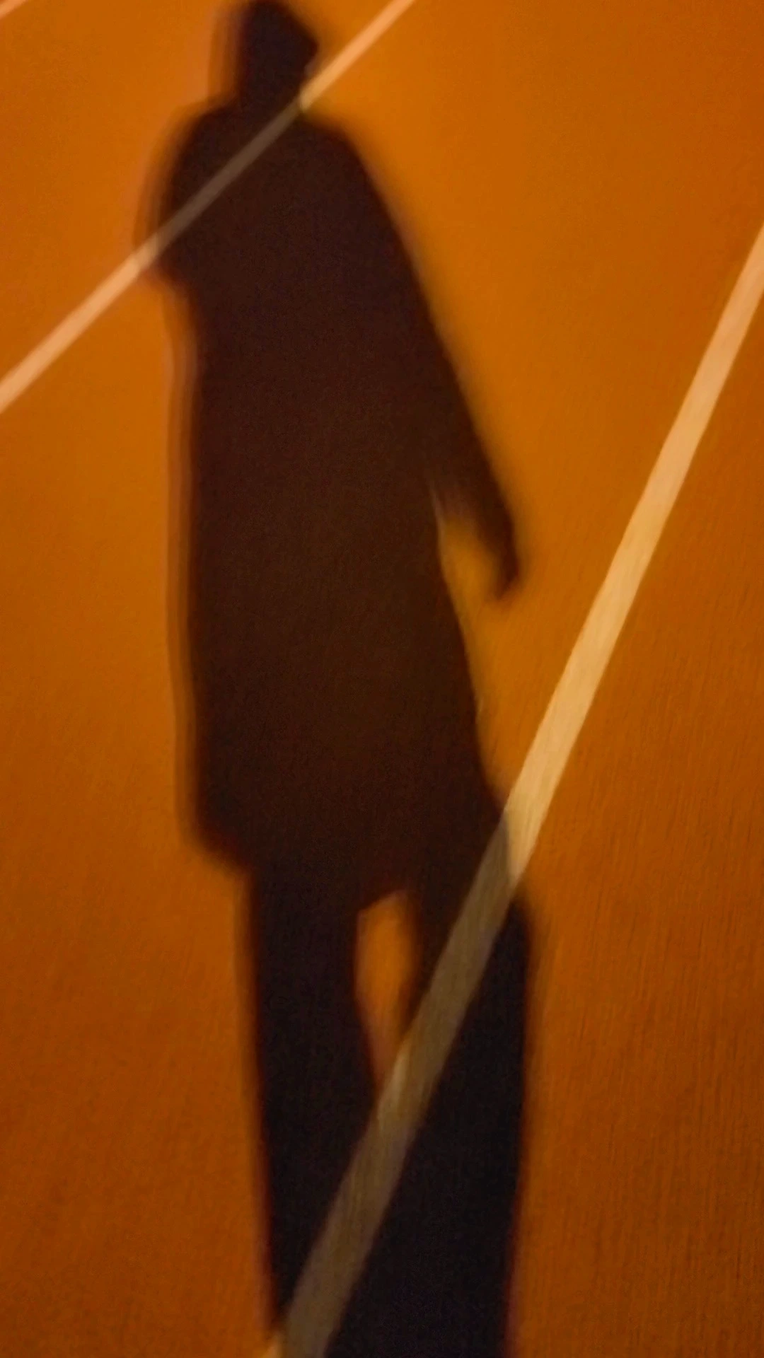 影子是我的情人