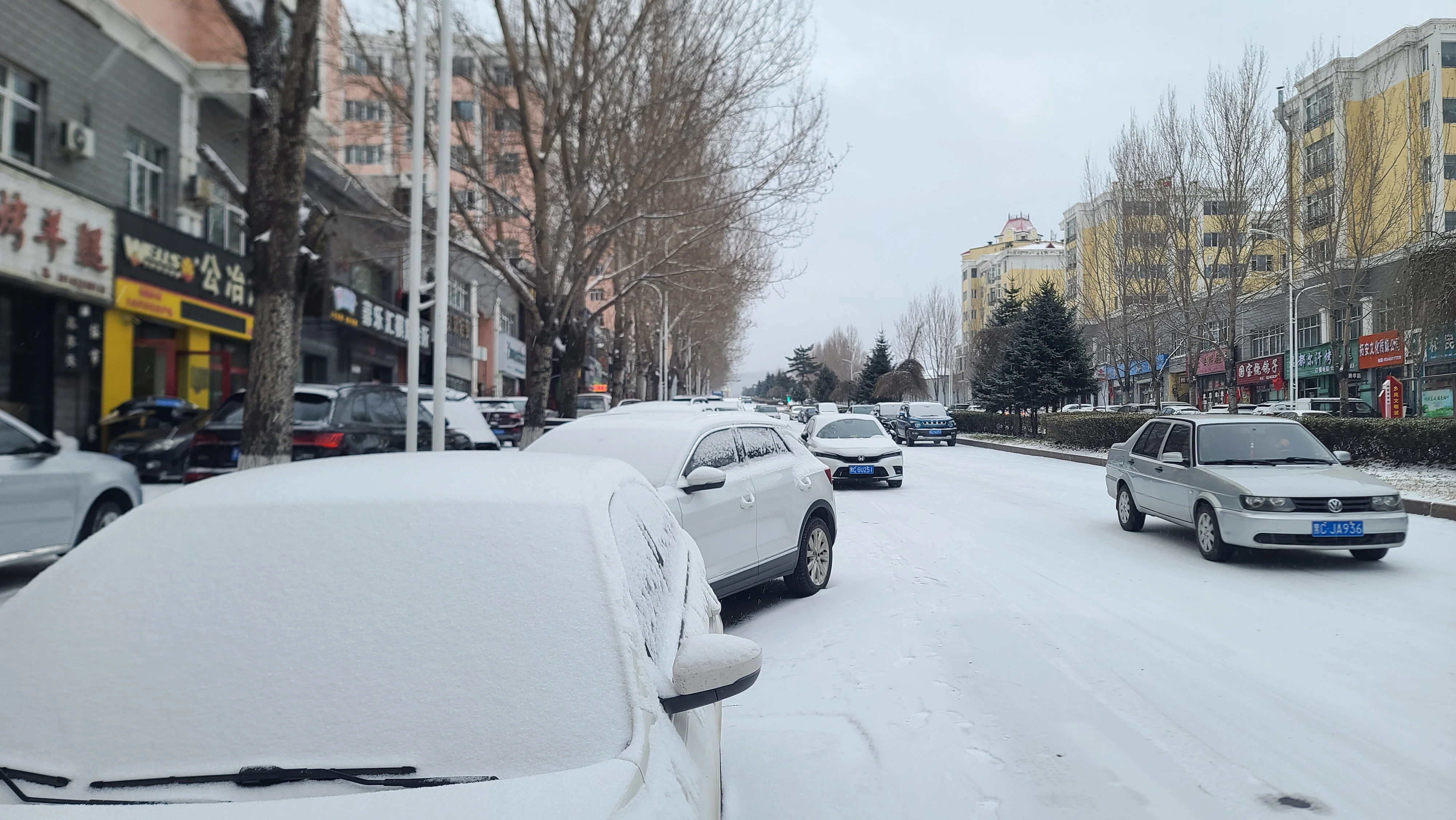 正月二十六清晨惊喜